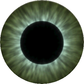 the psychic Eye