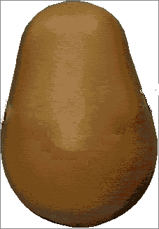 blank potato
