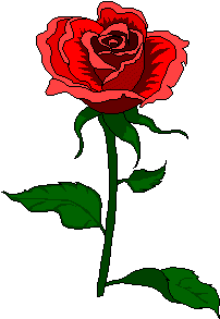 rosetext